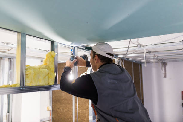 Best Energy-efficient Insulation  in Brandywine Bay, NC