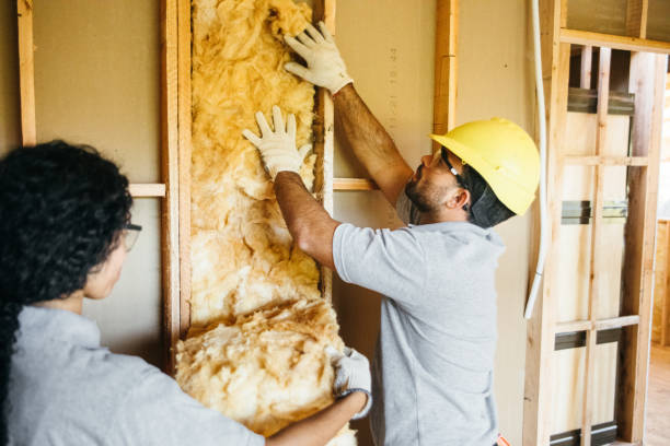 Best Insulation Inspection Services  in Brandywine Bay, NC