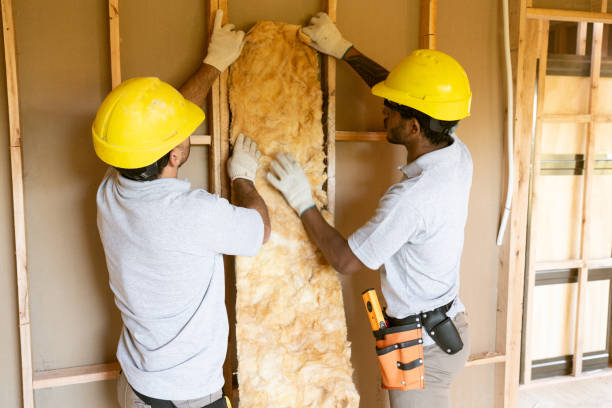 Best Professional Insulation Contractor  in Brandywine Bay, NC