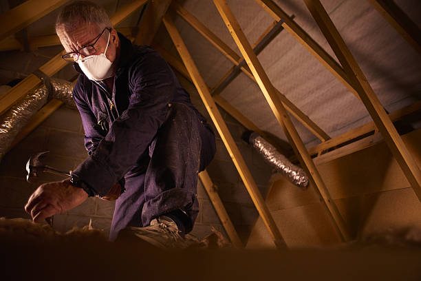 Best Insulation Contractor Near Me  in Brandywine Bay, NC